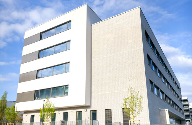 Modernes Gebäude mit großen Fenstern und minimalistischer Fassade, umgeben von frischen Pflanzen.