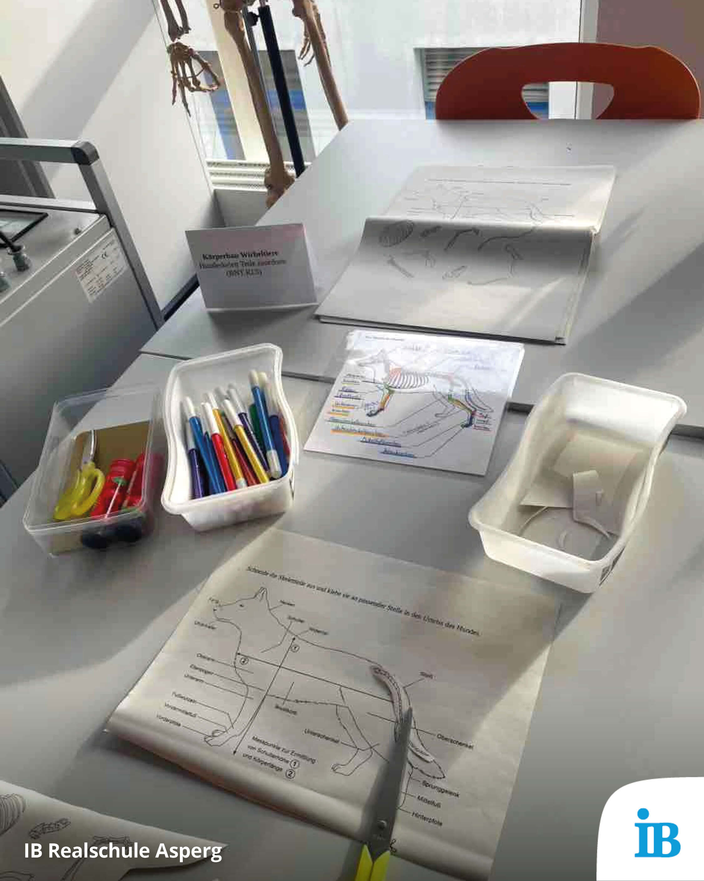 Auf einem Tisch liegen Arbeitsblätter und Stifte für eine Anatomie-Demonstration zum Tag der offenen Tür in der Realschule.